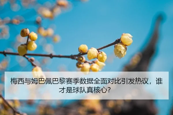 mei-xi-yu-mu-ba-pei-ba-li-sai-ji-shu-ju-quan-mian-dui-bi-yin-fa-re-yi-shui-cai-shi-qiu-dui-zhen-he-xin-2-545.jpg